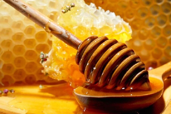 عسل گون گز انگبین