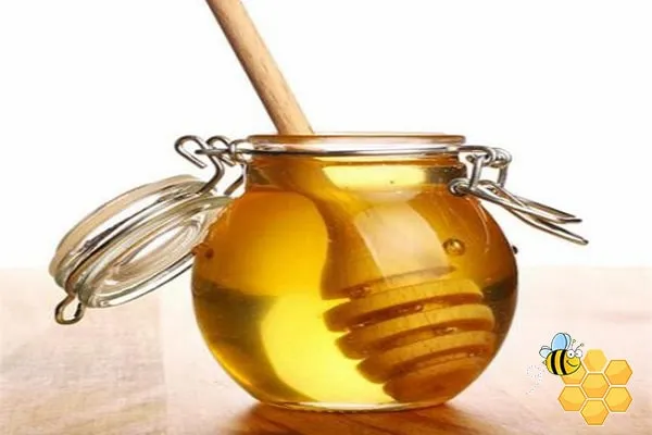 عسل دارچین برای بهبود گوارش | قیمت مناسب خرید عالی