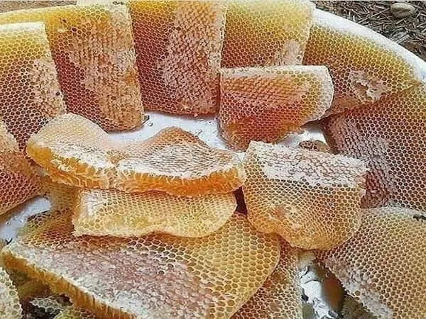 عسل دارچین برای تقویت حافظه | قیمت مناسب خرید عالی