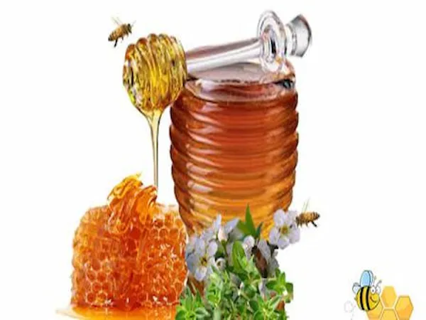 عسل دارچین برای بهبود گوارش | قیمت مناسب خرید عالی